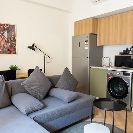 Grey L Studio Apartments Downtown Cairo Ouzonian House-3